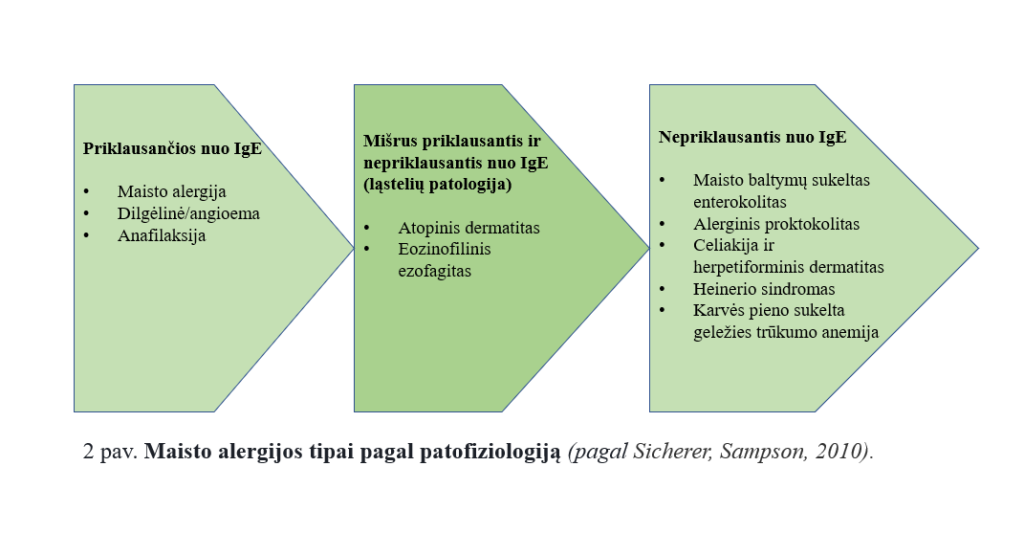 maisto-alergija-ir-atopinis-dermatitas